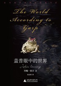 盖普眼中的世界 (广西师范大学出版社 2008)