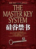 硅谷禁书 (中国华侨出版社 2007)