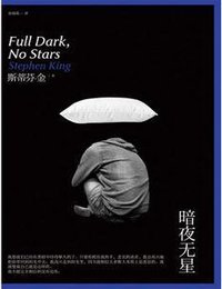 暗夜无星 (上海文艺出版社 2013)