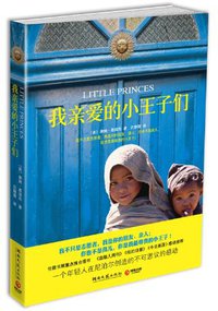 我亲爱的小王子们 (湖南文艺 2011)