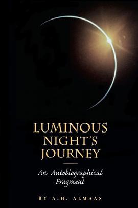 Luminous Night's Journey
