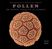 Pollen (Firefly Books 2009)