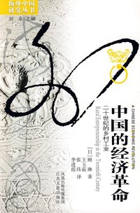 中国的经济革命 (江苏人民出版社 2009)