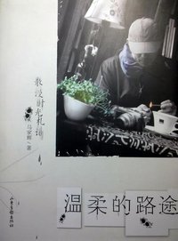 温柔的路途 (山東畫報出版社 2011)