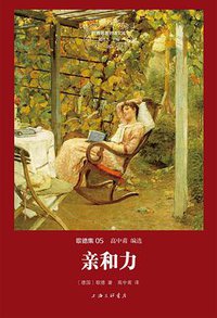 亲和力 (上海三联书店 2015)