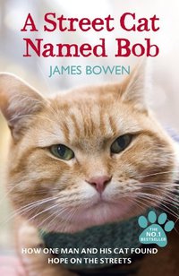 A Street Cat Named Bob (Hodder Paperbacks 2012)