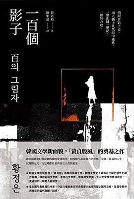 一百個影子