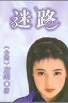 迷路 (南海出版公司 2004)