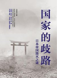 国家的歧路 (中信出版集团 2020)