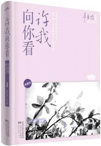 许我向你看(全二册)