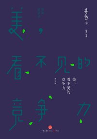 美，看不见的竞争力 (中信出版社 2015)