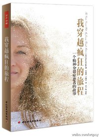 我穿越疯狂的旅程 (中国轻工业出版社 2013)