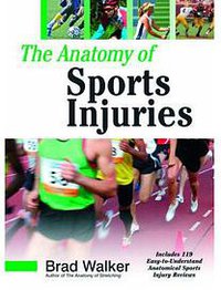 Anatomy of Sports Injuries 