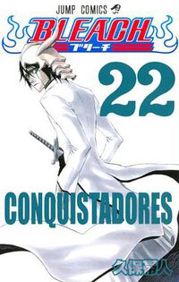 BLEACH―ブリーチ― 22 (集英社 2006)