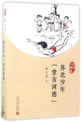 苏北少年堂吉诃德