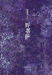 野菩萨 (新星出版社 2013)