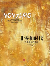 非零和时代 (中信出版社 2013)