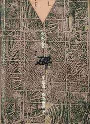 碑 (三联书店 1993)