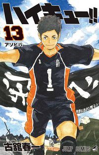 ハイキュー!! 13 (集英社 2014)