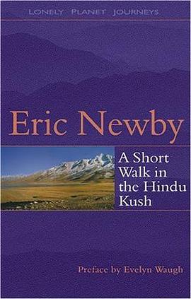 A Short Walk in the Hindu Kush
