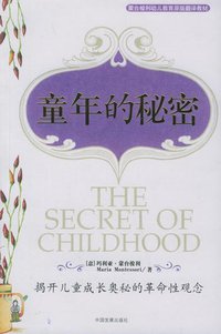 童年的秘密 (中国发展出版社 2003)