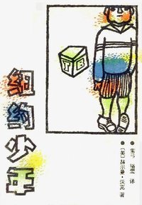 纽约少年 (中国少年儿童出版社 1985)