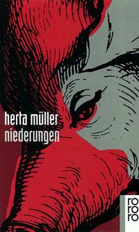 Niederungen (Rowohlt Taschenbuch Verlag GmbH 1993)