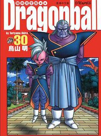 龍珠完全版（30） (文化傳信有限公司)