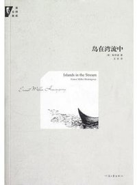 岛在湾流中 (河南文艺出版社 2012)