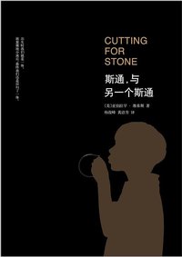 斯通，与另一个斯通 (南海出版公司 2013)