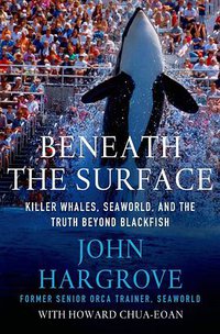 Beneath the Surface (Palgrave 2015)
