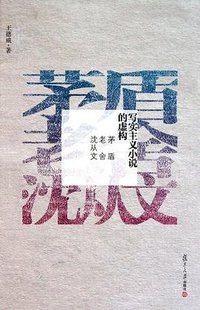 写实主义小说的虚构 (复旦大学出版社 2011)