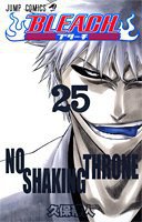 BLEACH―ブリーチ― 25 (集英社 2006)