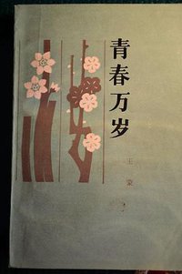 青春万岁 (人民文学出版社 1994)
