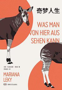 奇梦人生 (湖南文艺出版社 2019)