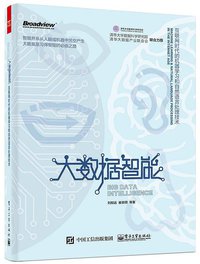 大数据智能 (电子工业出版社 2016)