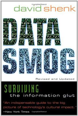 Data Smog