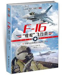 F-16“蝰蛇”飞行员