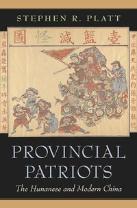Provincial Patriots (Harvard University Press 2007)