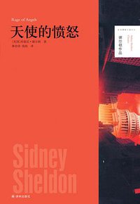 天使的愤怒 (译林出版社 2014)