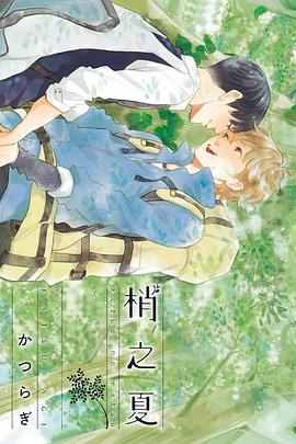 梢之夏