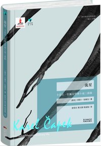 流星 (花城出版社 2016)