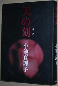 天の時 (文藝春秋 2001)