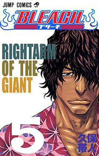 BLEACH―ブリーチ― 5 (集英社 2002)