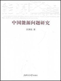 中国能源问题研究