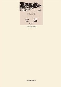 大波 (译林出版社 2014)
