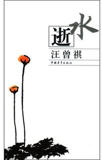 逝水 (中国青年出版社 2004)