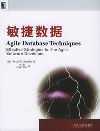 敏捷数据 (机械工业出版社 2006)