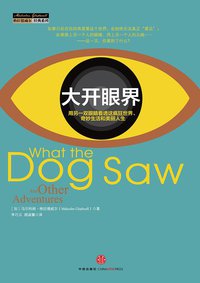 大开眼界 (中信出版社 2014)