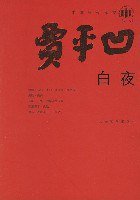 白夜 (人民文学出版社 2008)